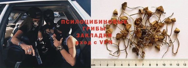 соль ск Сатка